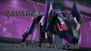 Ravage tribute