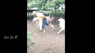 Compilation of the funniest moments of the year