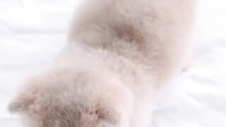 So cutie