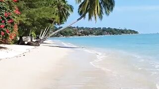 # nature vedo# ebspo viral vdio