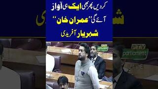 Shehryar Afridi Delivers Huge Statement In Support Of Imran Khan!