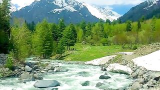 status,status video,status song,status whatsap,beast song,good song,video,natural 584