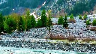 status,status video,status song,status whatsap,beast song,good song,video,natural 588