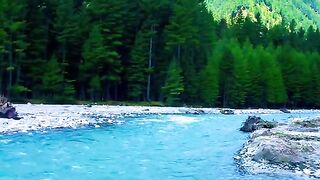 status,status video,status song,status whatsap,beast song,good song,video,natural 595
