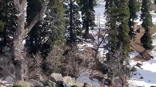 status,status video,status song,status whatsap,beast song,good song,video,natural 598