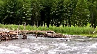 status,status video,status song,status whatsap,beast song,good song,video,natural 599