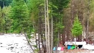 status,status video,status song,status whatsap,beast song,good song,video,natural 600