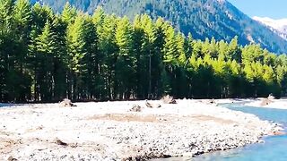 status,status video,status song,status whatsap,beast song,good song,video,natural 604