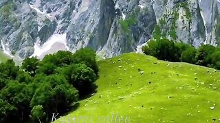 status,status video,status song,status whatsap,beast song,good song,video,natural 606