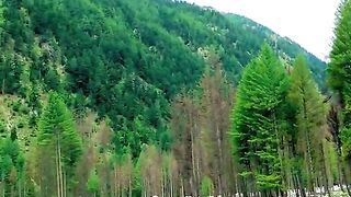 status,status video,status song,status whatsap,beast song,good song,video,natural 608