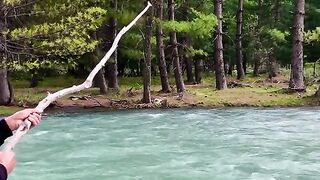status,status video,status song,status whatsap,beast song,good song,video,natural 614