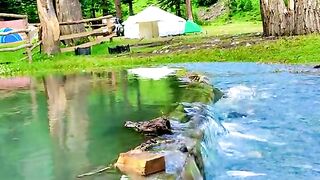 status,status video,status song,status whatsap,beast song,good song,video,natural 621