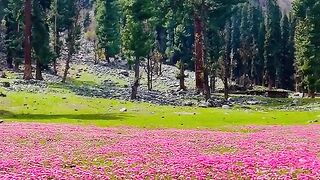 status,status video,status song,status whatsap,beast song,good song,video,natural 624