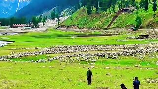 status,status video,status song,status whatsap,beast song,good song,video,natural 626