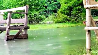 status,status video,status song,status whatsap,beast song,good song,video,natural 632