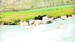 status,status video,status song,status whatsap,beast song,good song,video,natural 635