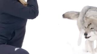 مشاهده مثيرة