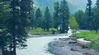 status,status video,status song,status whatsap,beast song,good song,video,natural 638