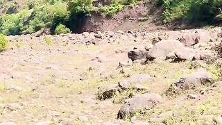 status,status video,status song,status whatsap,beast song,good song,video,natural 643