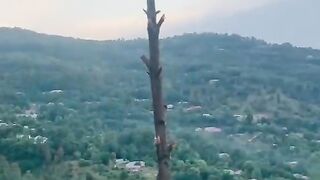 status,status video,status song,status whatsap,beast song,good song,video,natural 646