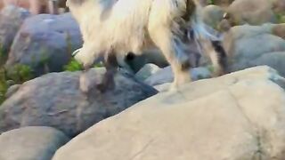 status,status video,status song,status whatsap,beast song,good song,video,natural 649