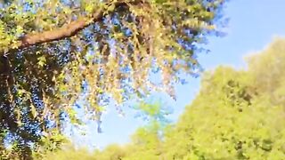status,status video,status song,status whatsap,beast song,good song,video,natural 652