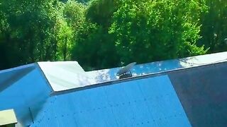 status,status video,status song,status whatsap,beast song,good song,video,natural 653