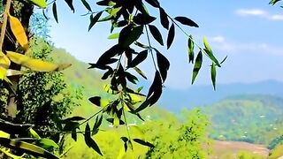 status,status video,status song,status whatsap,beast song,good song,video,natural 656