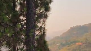 status,status video,status song,status whatsap,beast song,good song,video,natural 657
