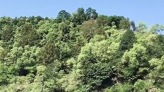 status,status video,status song,status whatsap,beast song,good song,video,natural 660