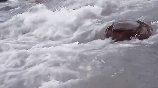status,status video,status song,status whatsap,beast song,good song,video,natural 667