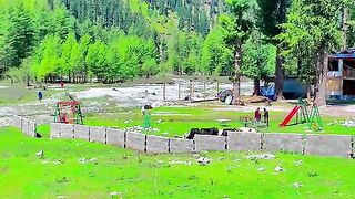 status,status video,status song,status whatsap,beast song,good song,video,natural 685