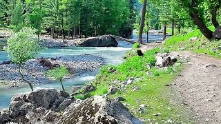 status,status video,status song,status whatsap,beast song,good song,video,natural 690