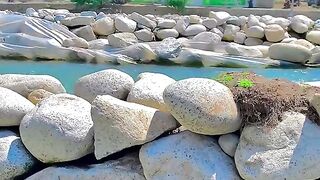 status,status video,status song,status whatsap,beast song,good song,video,natural 692