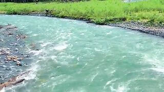 status,status video,status song,status whatsap,beast song,good song,video,natural 699