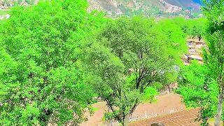 status,status video,status song,status whatsap,beast song,good song,video,natural 709