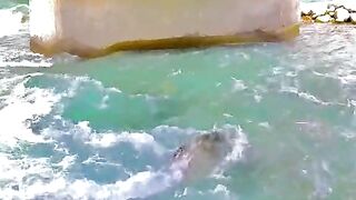 status,status video,status song,status whatsap,beast song,good song,video,natural 710