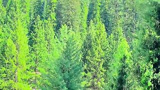 status,status video,status song,status whatsap,beast song,good song,video,natural 715