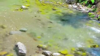 status,status video,status song,status whatsap,beast song,good song,video,natural 717