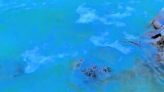 status,status video,status song,status whatsap,beast song,good song,video,natural 734