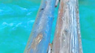 status,status video,status song,status whatsap,beast song,good song,video,natural 736