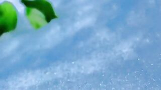 status,status video,status song,status whatsap,beast song,good song,video,natural 745