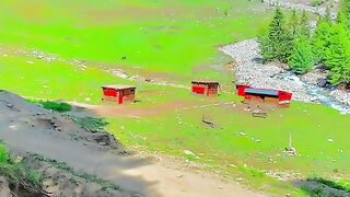 status,status video,status song,status whatsap,beast song,good song,video,natural 747