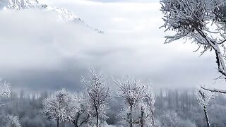 status,status video,status song,status whatsap,beast song,good song,video,natural 749