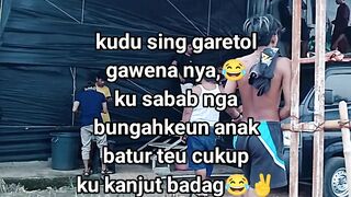 ayam broiler || kata kata lucu 520