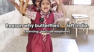 This the reason why butterflies left india.