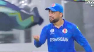cricket 21