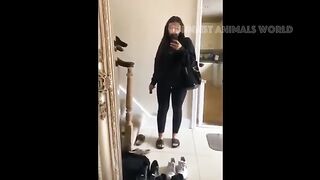 New Funny Animals!!!!! Funniest Cats and Dogs Videos !!!!!!!! 20