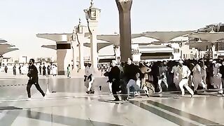 Ya_Nabi_salam_#talibvlog_#madinavlog_#madina_#viralvideo(480p).