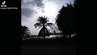 الله نور السماوات والارض
